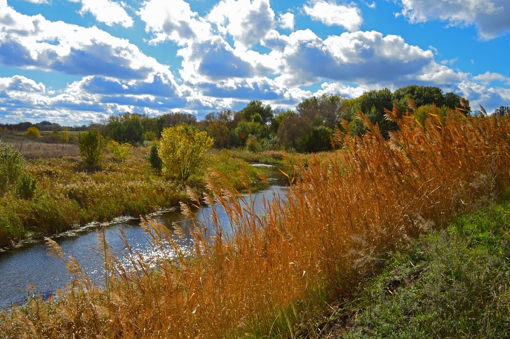 Осень на речке Косарке